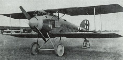 albatros_d2_1.jpg